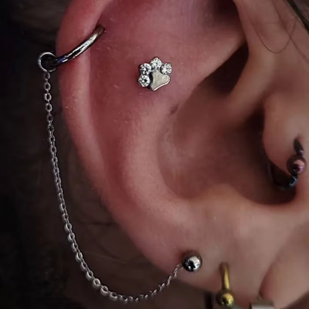 Titanium neusketting Drielaags - Body Jewelry Ear Piercing recensie en prijs