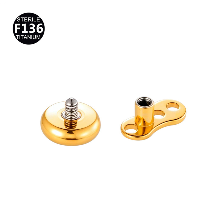1Pc F136 Titanium 14G Intern S - Dermal Anchor Top recensie en prijs