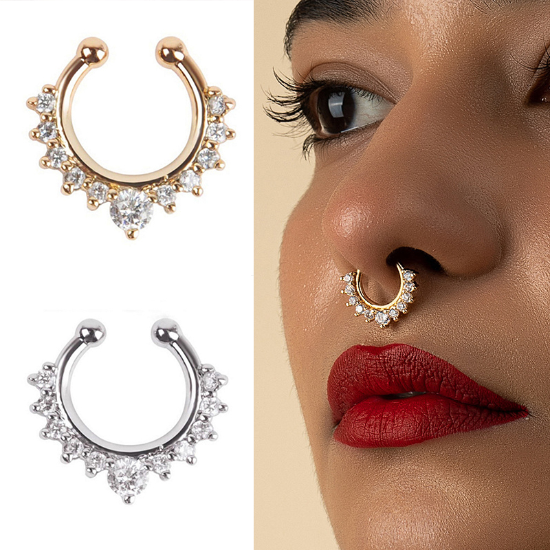 1Pc U-Vorm Neusklem Neusringen - Body Jewelry Ear Piercing recensie en prijs