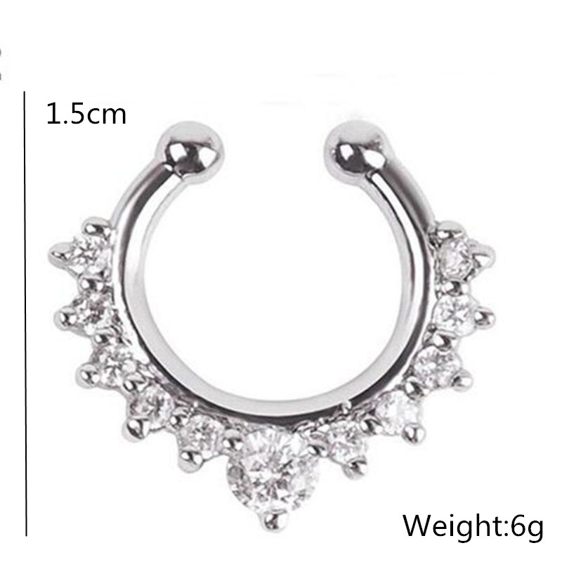 1Pc U-Vorm Neusklem Neusringen - Body Jewelry Ear Piercing recensie en prijs