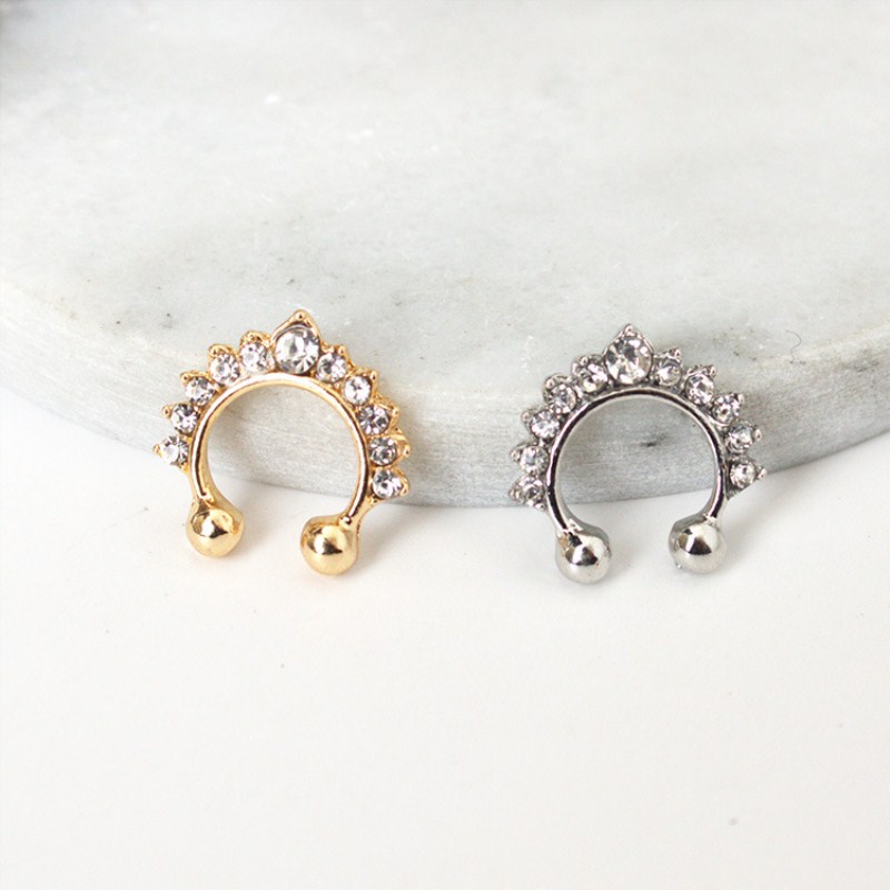 1Pc U-Vorm Neusklem Neusringen - Body Jewelry Ear Piercing recensie en prijs