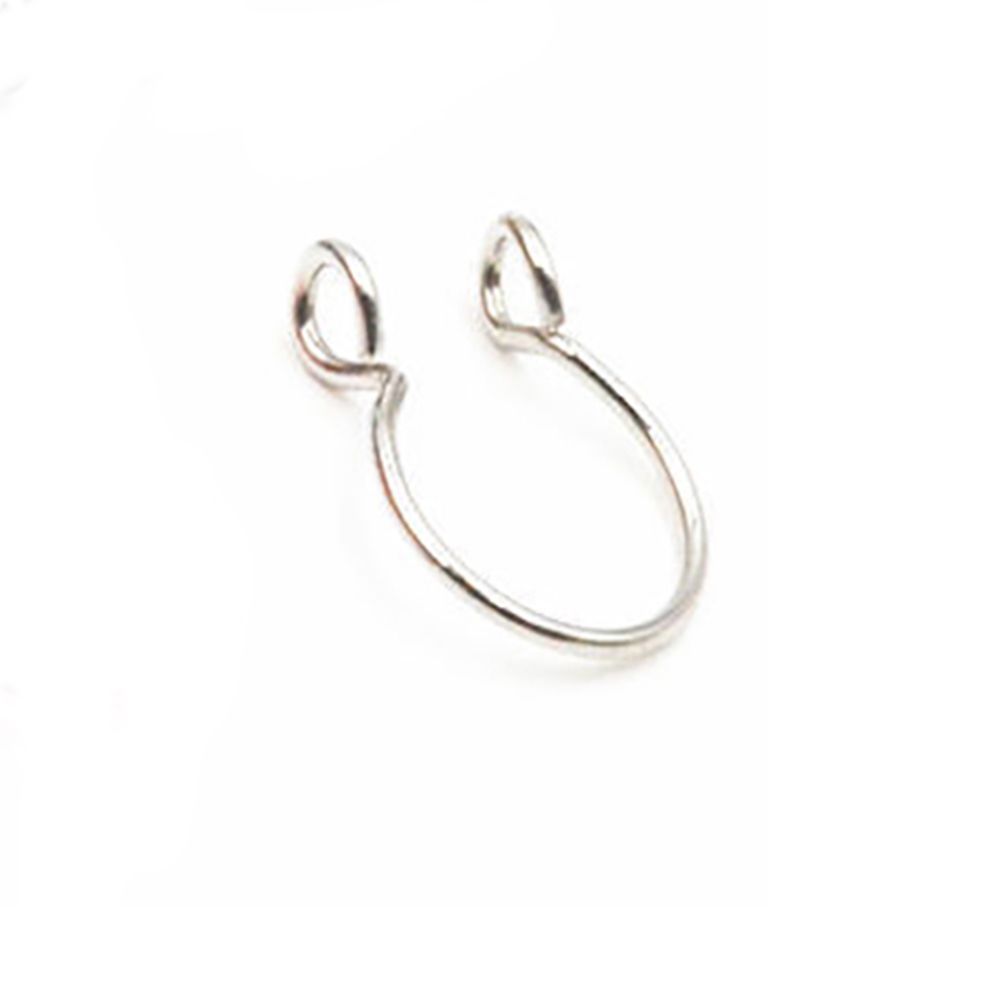Chirurgische oorring van roest - Body Jewelry Lip Ring recensie en prijs