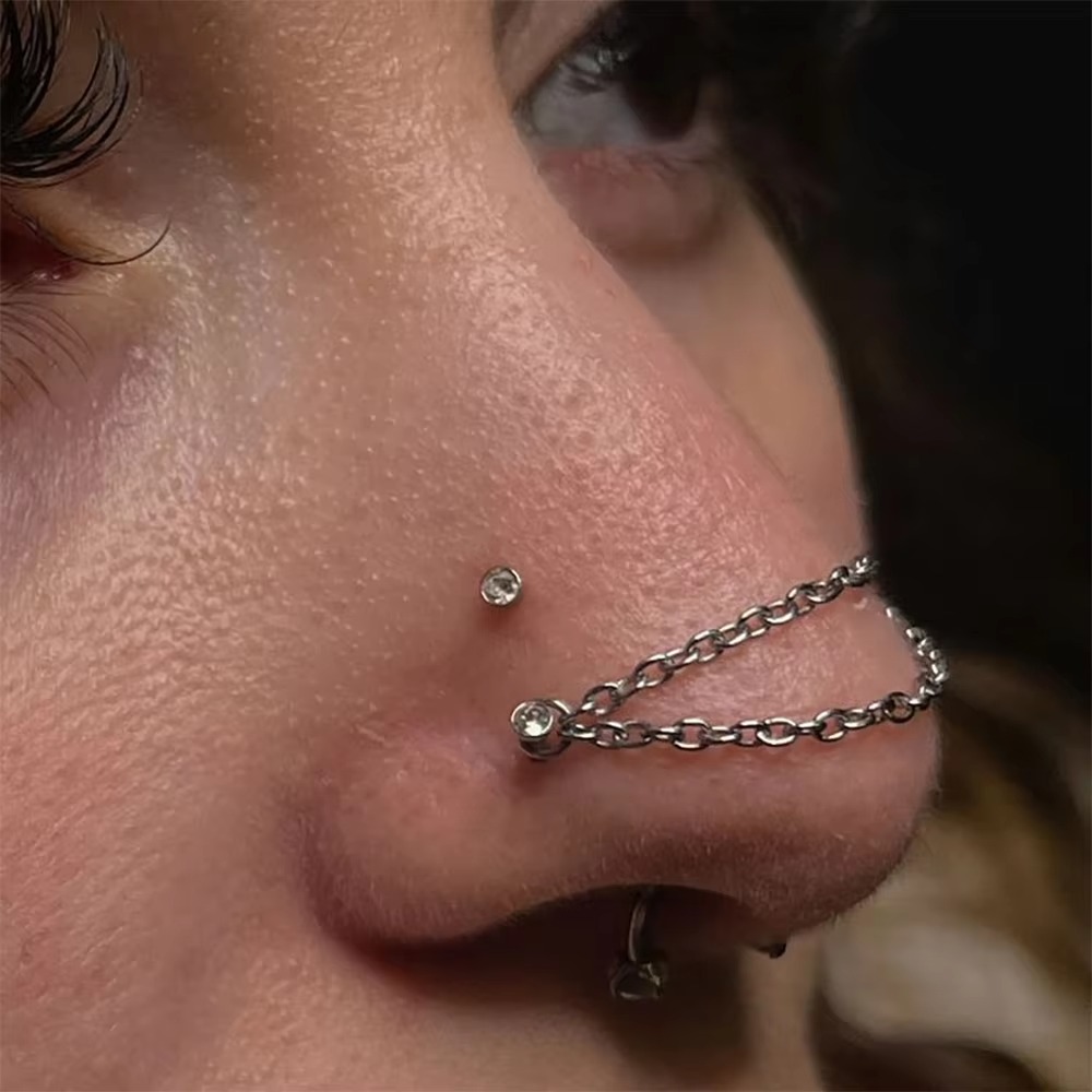 Mode Titanium Neusketting Dubb - Body Jewelry Ear Piercing recensie en prijs